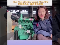 Generatore diesel affidabile e a risparmio di spazio 20KW 25KVA con custodia insonorizzata