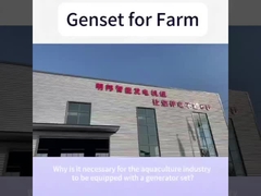 Motore Yangdong 48KW 60KVA Generatore diesel silenzioso per la fattoria domestica