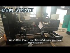 Gruppo elettrogeno diesel da 250KW con motore SDEC, soluzioni di alimentazione di buona qualità