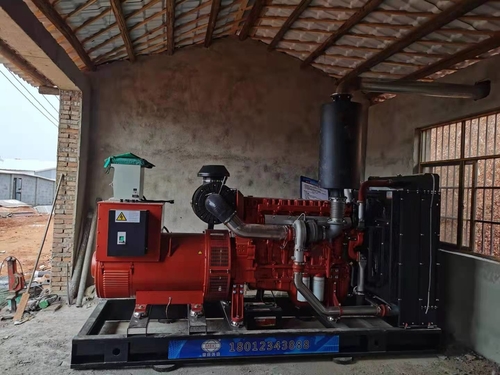 Ultimi blog aziendali su Il gruppo elettrogeno diesel 400KW è installato nella fabbrica di avicoltura