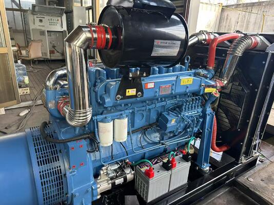 Un buon prezzo. 200KW / 250KVA Generatore diesel a prova di suono aperto / chiuso ¢ Soluzione energetica conveniente per i vostri clienti in linea