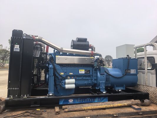 Un buon prezzo. Generatore diesel aperto/insonorizzato da 200 kW focalizzato sul rivenditore (250 KVA) – Prestazioni elevate, accesso semplice per la manutenzione in linea